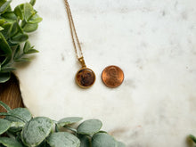 Load image into Gallery viewer, Tortoise Shell Necklaces

