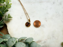 Load image into Gallery viewer, Tortoise Shell Necklaces
