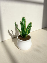 Load image into Gallery viewer, Snake Plant
