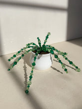 Load image into Gallery viewer, Light Green Spider Plant
