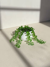 Load image into Gallery viewer, Trailing Sedum in Green Ombre (shorter strings)
