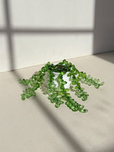 Load image into Gallery viewer, Hanging Sedum in Green Ombre (longer strings)
