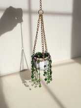 Load image into Gallery viewer, String of Pearls
